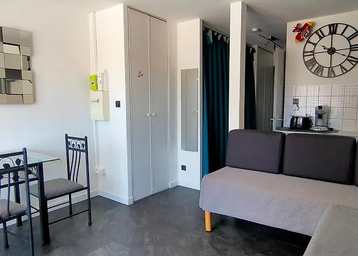 Le Port Dauphin : Vue Bateaux; Piscine; Cap D'agde Appartamento Agde